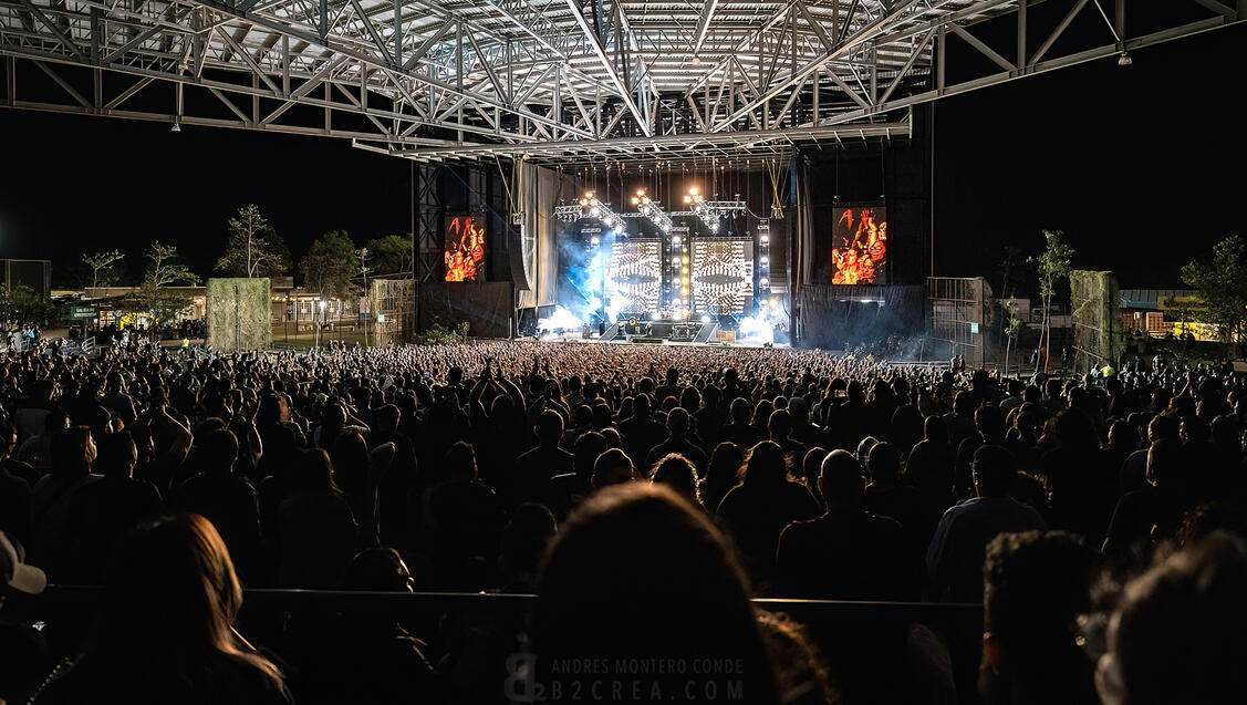 INCUBUS CROWD