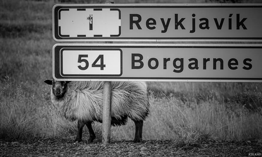 Iceland
